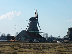 DutchCountrySide (551)